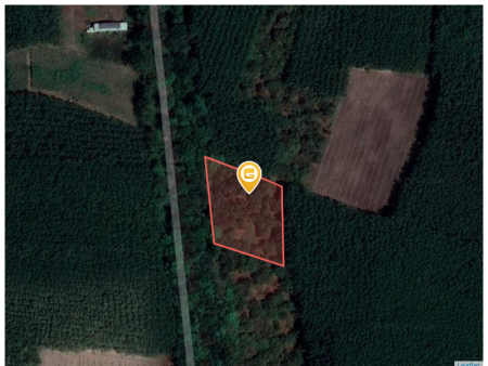 Bán đất 1085m² ngang 10m giá 170 triệu Phường Bình Phước