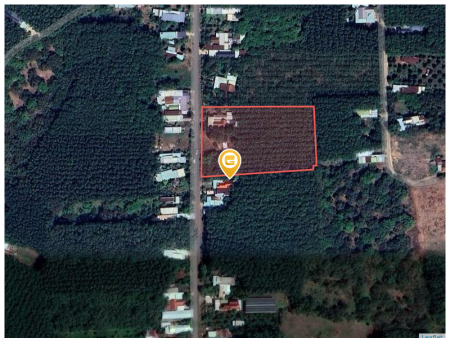 Bán đất 1085m² ngang 10m giá 170 triệu Phường Bình Phước