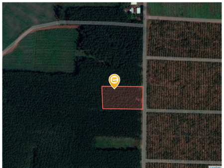 Bán đất 1085m² ngang 10m giá 170 triệu Xã Đồng Phú