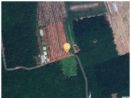 Bán đất 8389.7m² giá 8 tỷ Xã Phước Thành