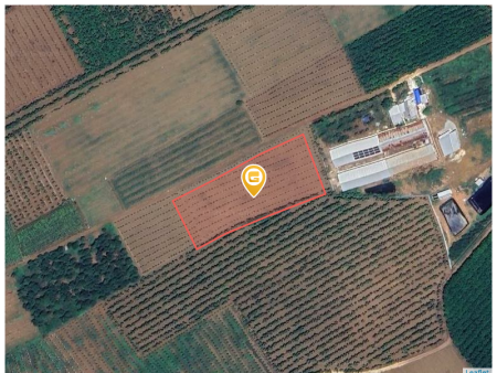 Bán đất 7303.1m² giá 7.5 tỷ Xã An Long