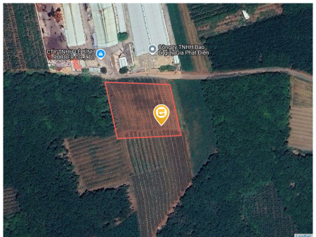 Bán đất 7516.7m² ngang 95m giá 15 tỷ Xã An Long