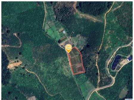 Bán đất 3622m² giá 2.89 tỷ Xã Nam Hà Lâm Hà