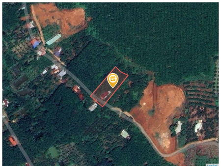 Bán đất 2699.7m² giá 1.5 tỷ Xã Tân Hưng