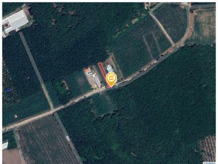 Bán đất 339.1m² Xã An Long