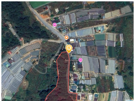 Bán đất 31018.5m² giá 4.5 tỷ Phường Xuân Hương - Đà Lạt