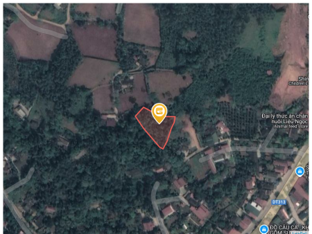 Bán đất 1692.9m² Xã Cẩm Khê