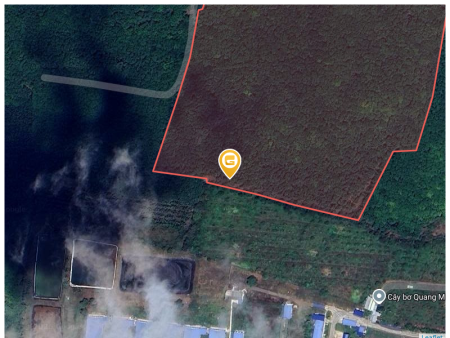 Bán đất 250m² ngang 5m giá 600 triệu Xã Tân Quan