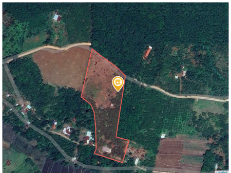 Bán đất 250m² ngang 5m giá 300 triệu Xã Tân Hưng