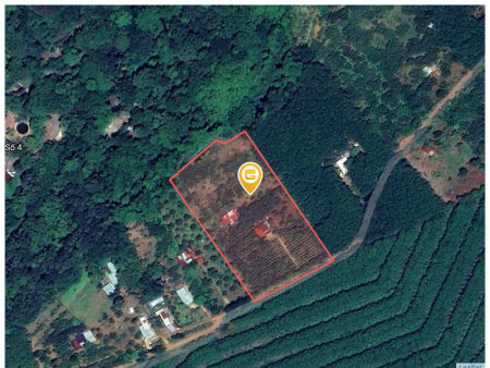 Bán đất 250m² ngang 5m giá 280 triệu Xã Tân Quan