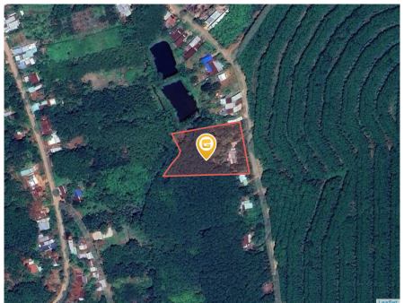 Bán đất 250m² ngang 5m giá 300 triệu Xã Tân Quan