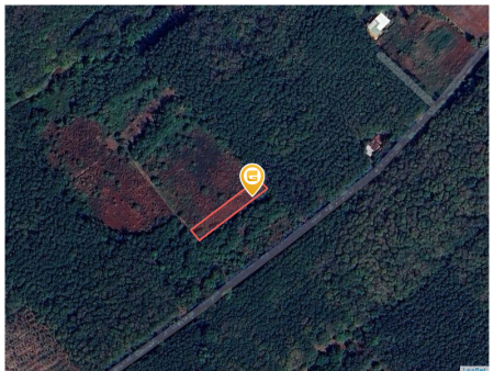 Bán đất 250m² ngang 5m giá 150 triệu Xã Tân Quan