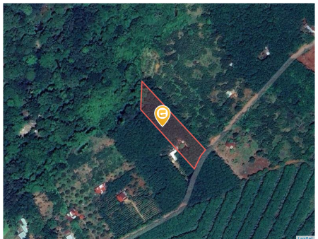 Bán đất 250m² ngang 5m giá 400 triệu Xã Tân Quan