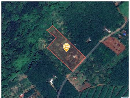 Bán đất 250m² ngang 5m giá 600 triệu Xã Tân Quan