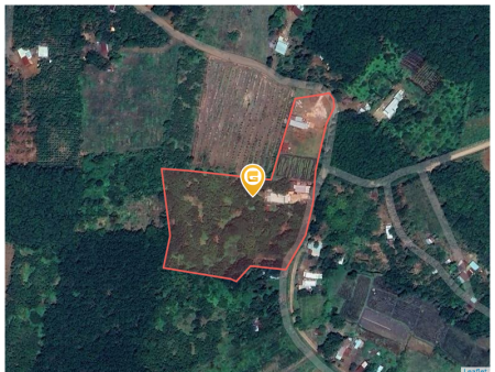 Bán đất 250m² ngang 5m giá 250 triệu Xã Tân Hưng