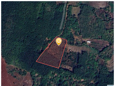 Bán đất 250m² ngang 5m giá 230 triệu Xã Tân Hưng