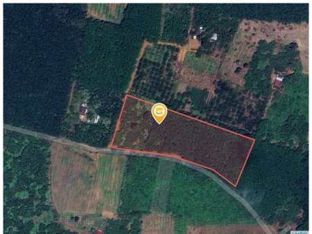 Bán đất 250m² ngang 5m giá 270 triệu Xã Tân Hưng