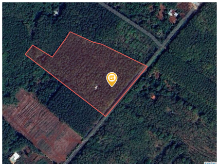 Bán đất 250m² ngang 5m giá 150 triệu Xã Tân Quan