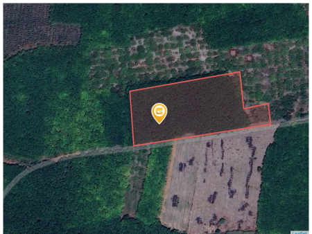 Bán đất 250m² ngang 5m giá 250 triệu Xã Tân Quan