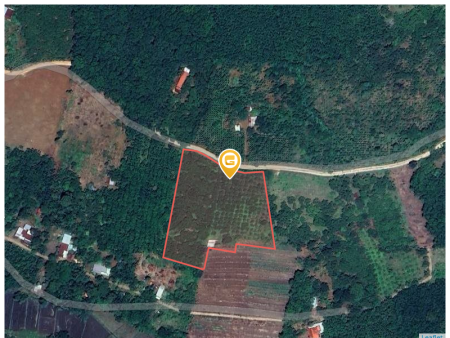 Bán đất 250m² ngang 5m giá 100 triệu Xã Tân Hưng