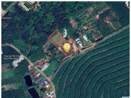 Bán đất 250m² ngang 5m giá 150 triệu Xã Tân Quan