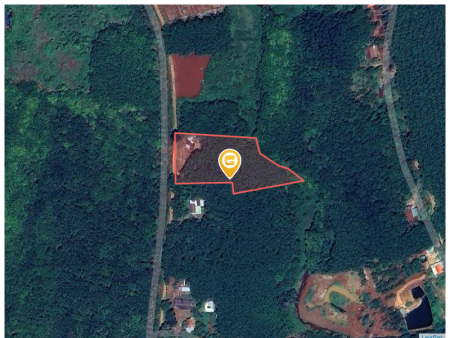 Bán đất 250m² ngang 5m giá 280 triệu Xã Tân Quan