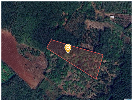 Bán đất 250m² ngang 5m giá 225 triệu Xã Tân Hưng