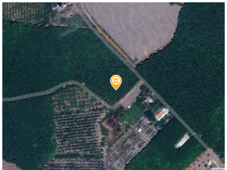 Bán đất 250m² ngang 5m giá 250 triệu Xã Tân Quan