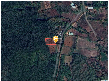Bán đất 250m² ngang 5m giá 230 triệu Xã Tân Hưng