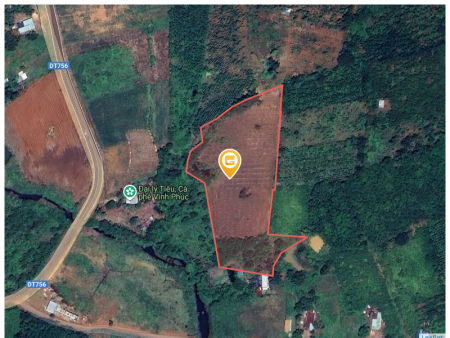 Bán đất 250m² ngang 5m giá 290 triệu Xã Tân Hưng