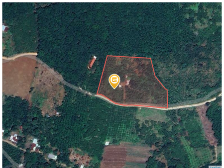 Bán đất 250m² ngang 4m giá 300 triệu Xã Tân Hưng