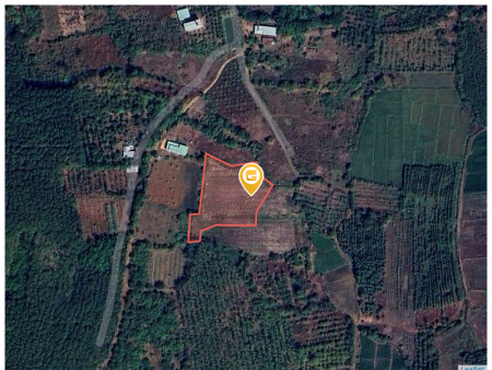 Bán đất 250m² ngang 5m giá 900 triệu Xã Tân Hưng