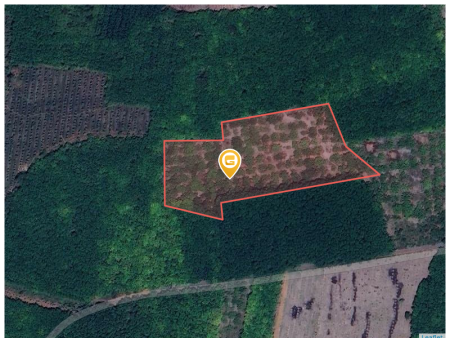 Bán đất 250m² ngang 5m Xã Tân Quan