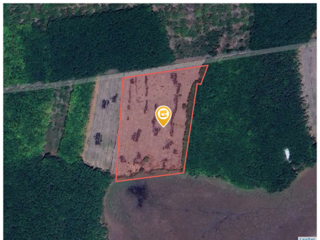 Bán đất 250m² ngang 5m giá 150 triệu Xã Tân Quan