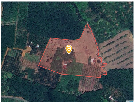 Bán đất 250m² ngang 5m giá 250 triệu Xã Tân Hưng
