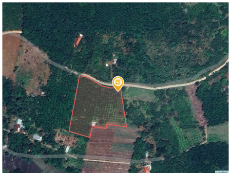 Bán đất 250m² ngang 5m giá 300 triệu Xã Tân Hưng