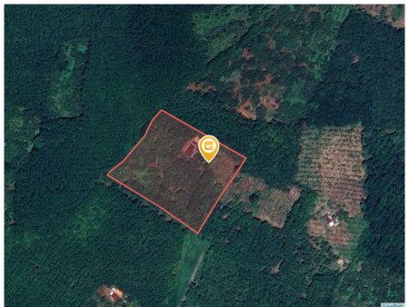 Bán đất 250m² ngang 5m giá 100 triệu Xã Tân Hưng
