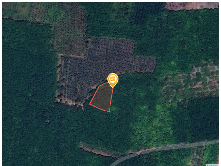 Bán đất 250m² ngang 5m giá 150 triệu Xã Tân Quan