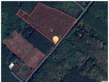 Bán đất 250m² ngang 5m giá 150 triệu Xã Tân Quan