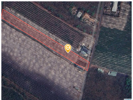 Bán đất 250m² giá 290 triệu Xã Minh Thạnh