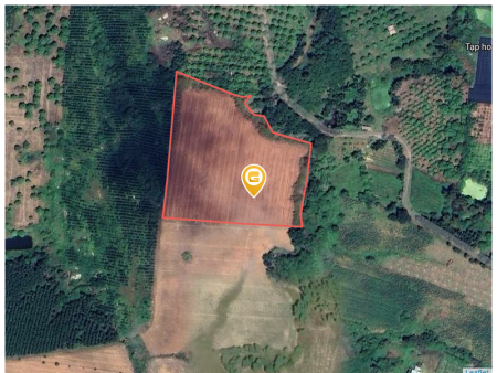Bán đất 14398.5m² giá 4.5 tỷ Xã Tân Minh