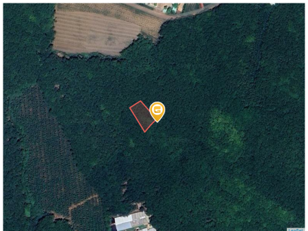 Bán đất 250m² ngang 5m giá 530 triệu Xã An Long