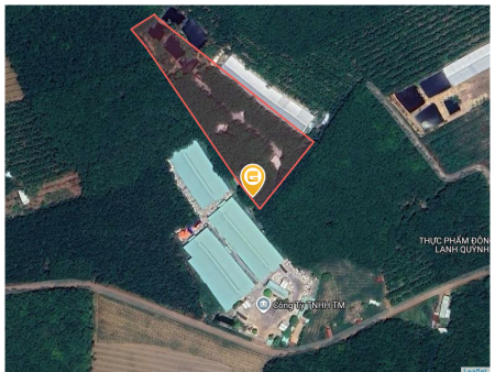 Bán đất 250m² ngang 5m giá 520 triệu Xã An Long