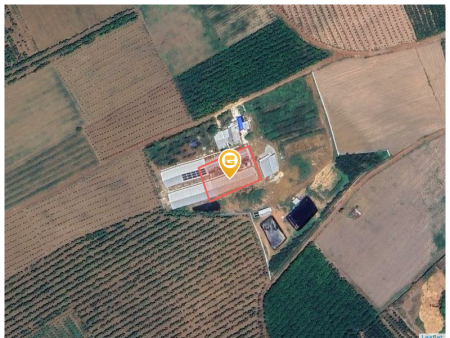 Bán đất 250m² ngang 5m giá 500 triệu Xã An Long