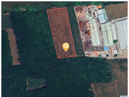 Bán đất 250m² ngang 5m giá 500 triệu Xã An Long
