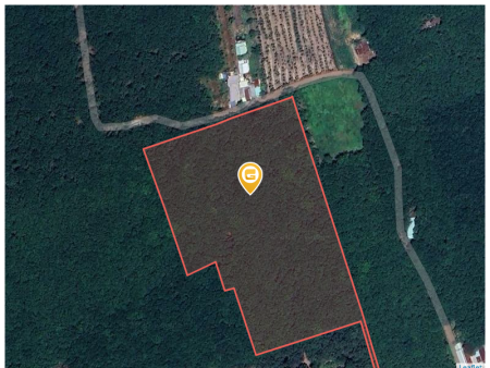 Bán đất 250m² ngang 5m giá 500 triệu Xã Phước Thành
