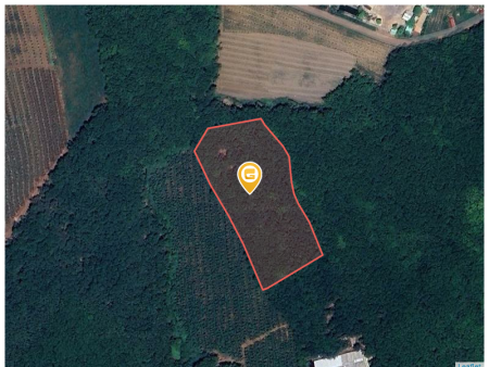 Bán đất 250m² ngang 5m giá 750 triệu Xã An Long