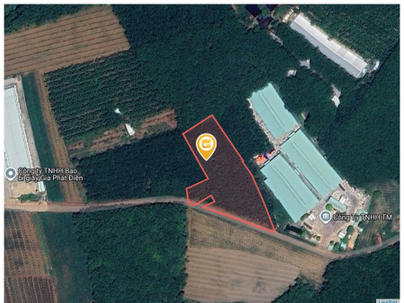 Bán đất 250m² ngang 5m giá 500 triệu Xã An Long