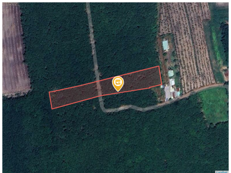 Bán đất 250m² ngang 5m giá 500 triệu Xã Phước Thành