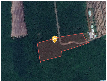 Bán đất 250m² ngang 5m giá 500 triệu Xã Phước Thành
